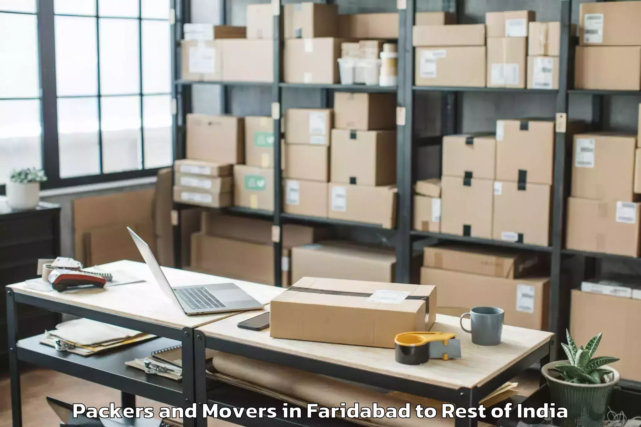 Professional Faridabad to Qila Jiwan Singh Packers And Movers